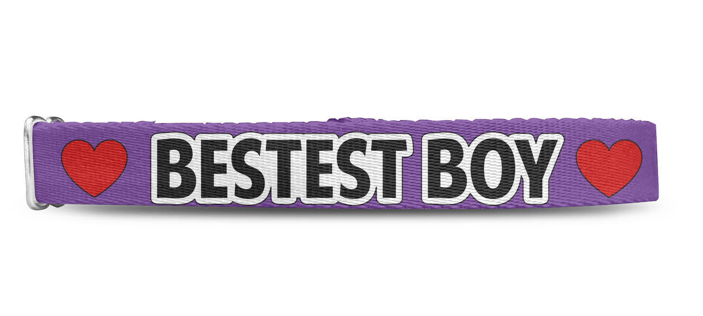 Bestest Boy Dog Collar, Spoiled Dog Collar, Funny Collar 1" & 1.5"