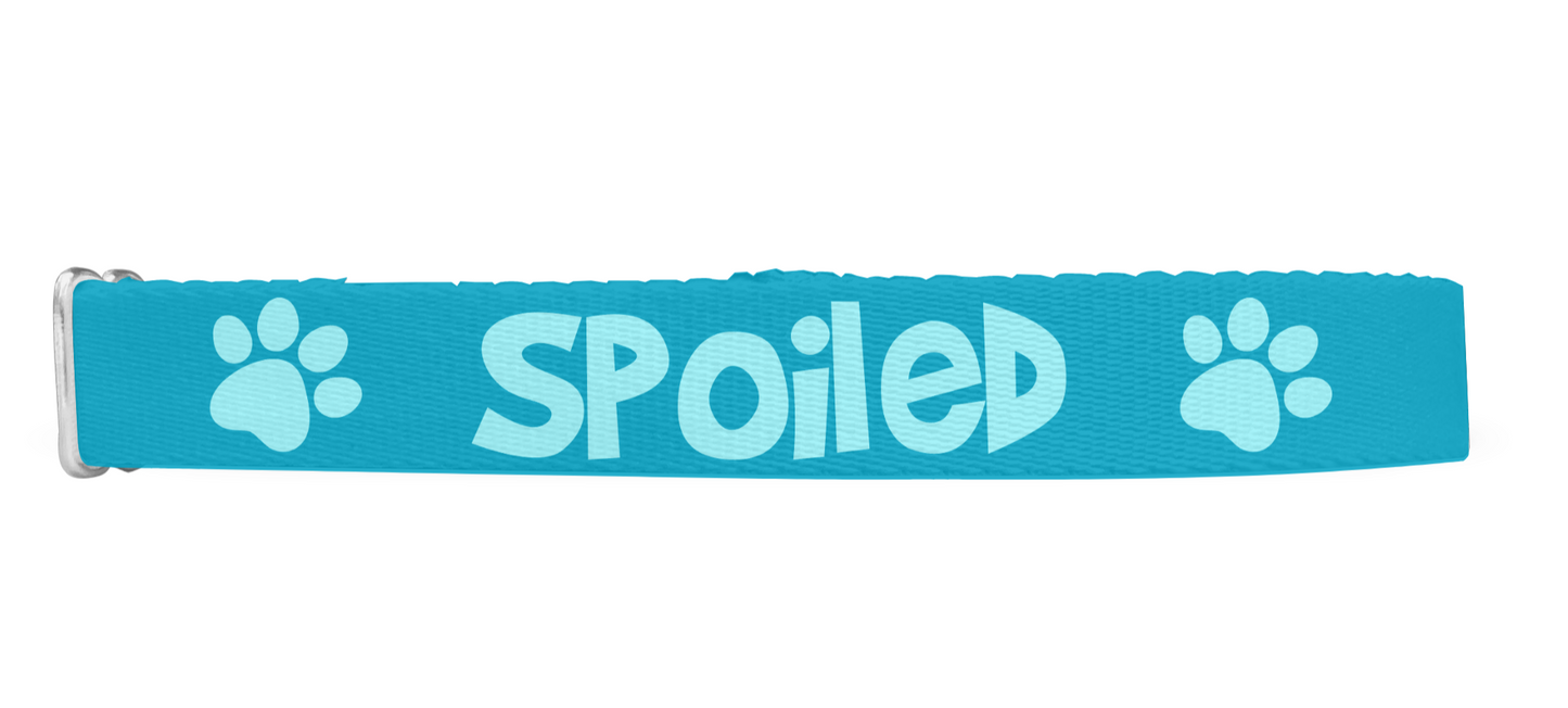 Spoiled Dog Collar, Blue Dog Collar 1" & 1.5"
