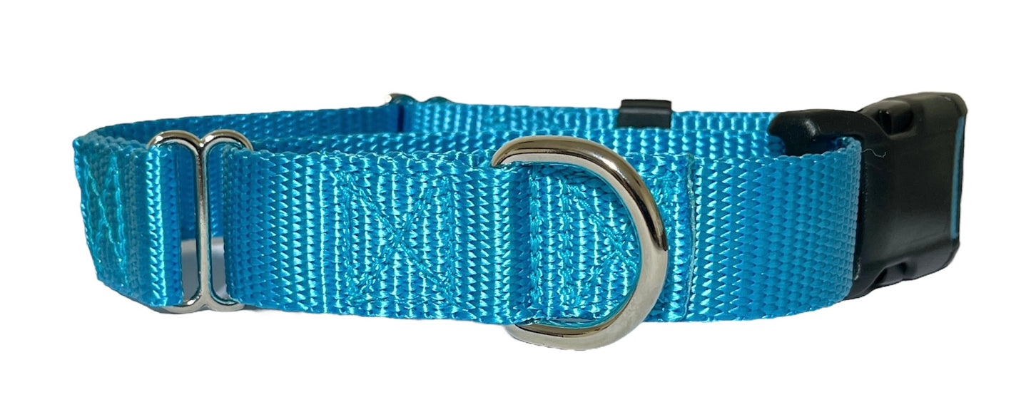 1" Nylon BUCKLE Martingale Collar, Dog Collar, Sighthound Dog Collar, Pet Collar