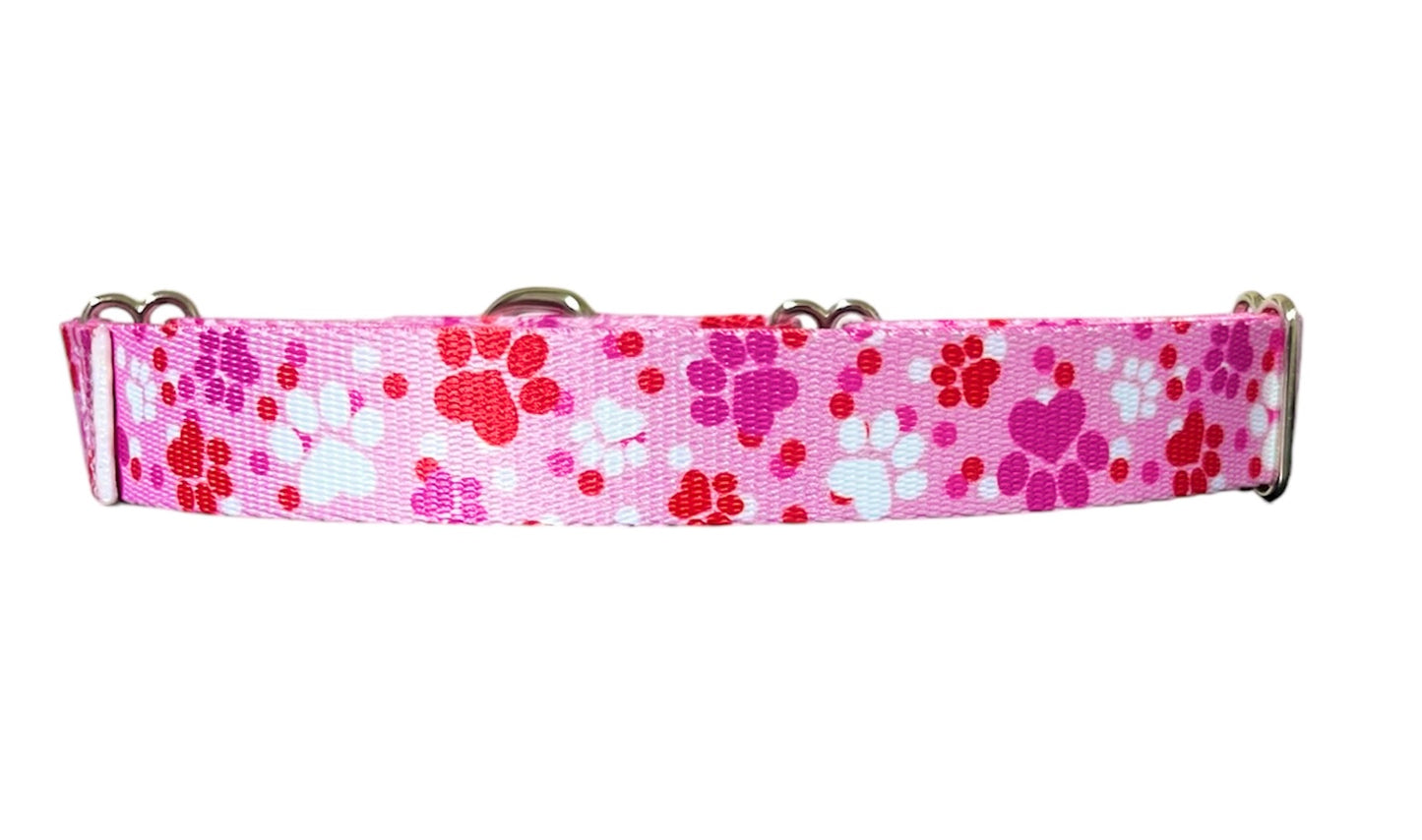 Pink Paws Dog Collar, Girl Dog Collar, Pink Dog Collar 1"