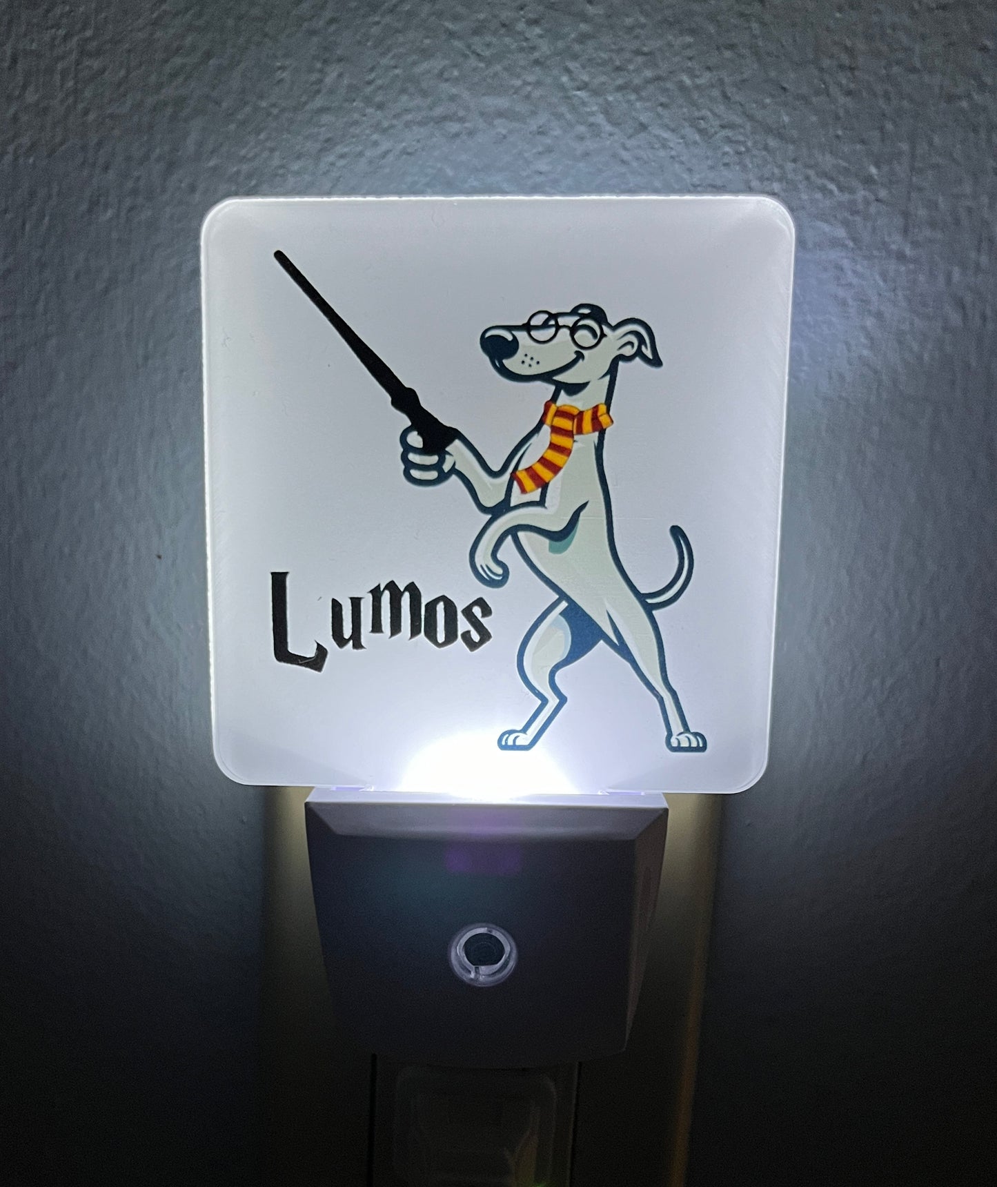 Harry Potter Lumos Dog Night Light