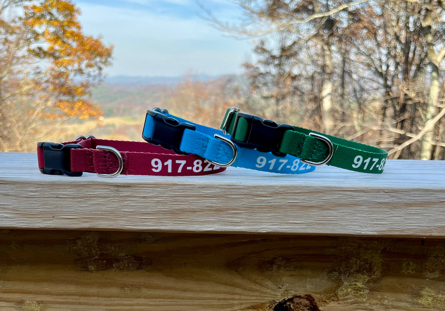 Personalized Identification Buckle Dog Collar, ID Collar, Dog Name Tag Collar