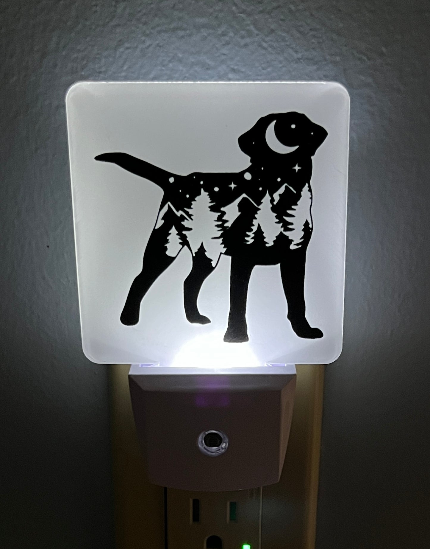 Labrador Mountains Night Light