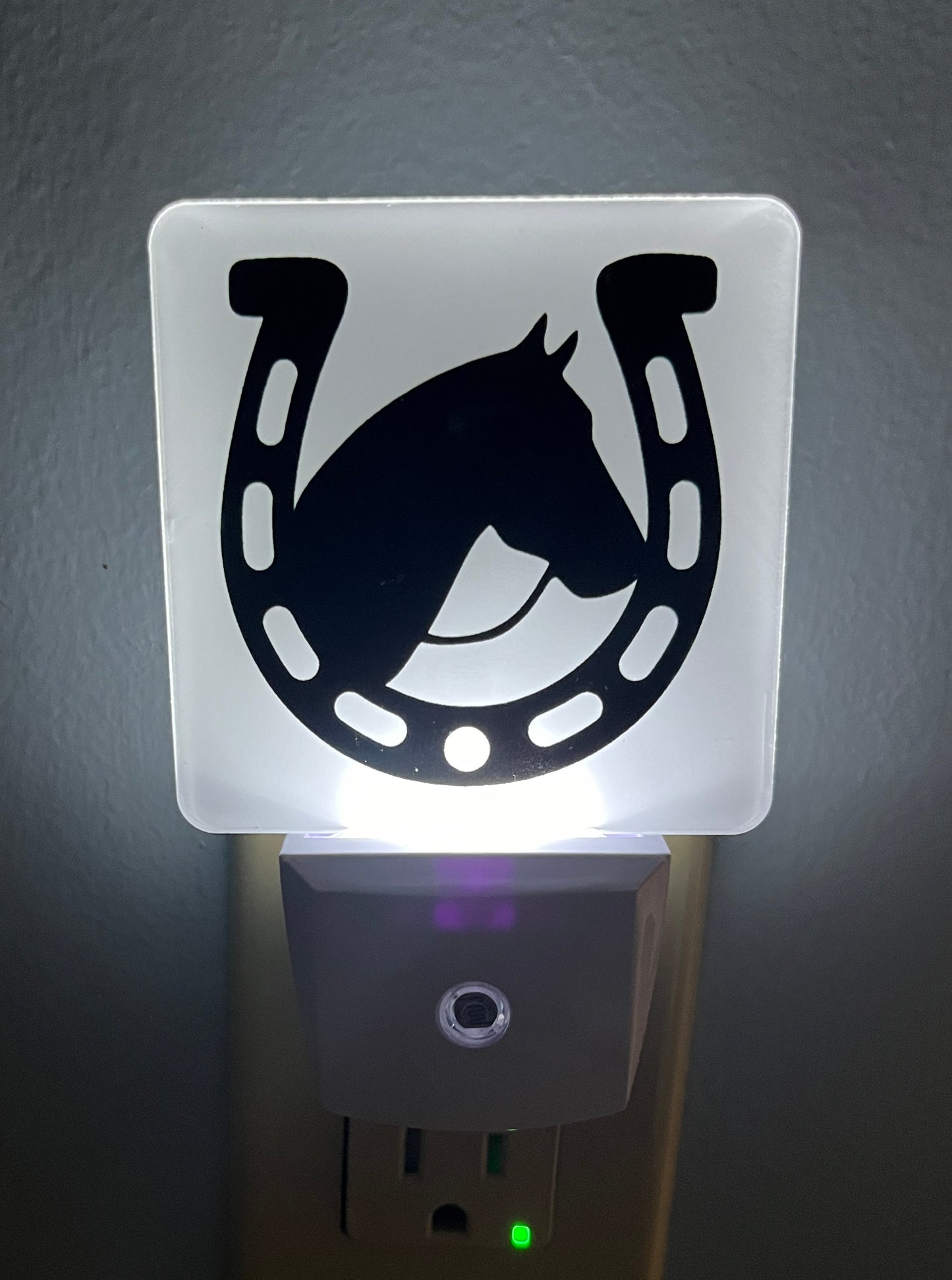 Horse Lover Night Light