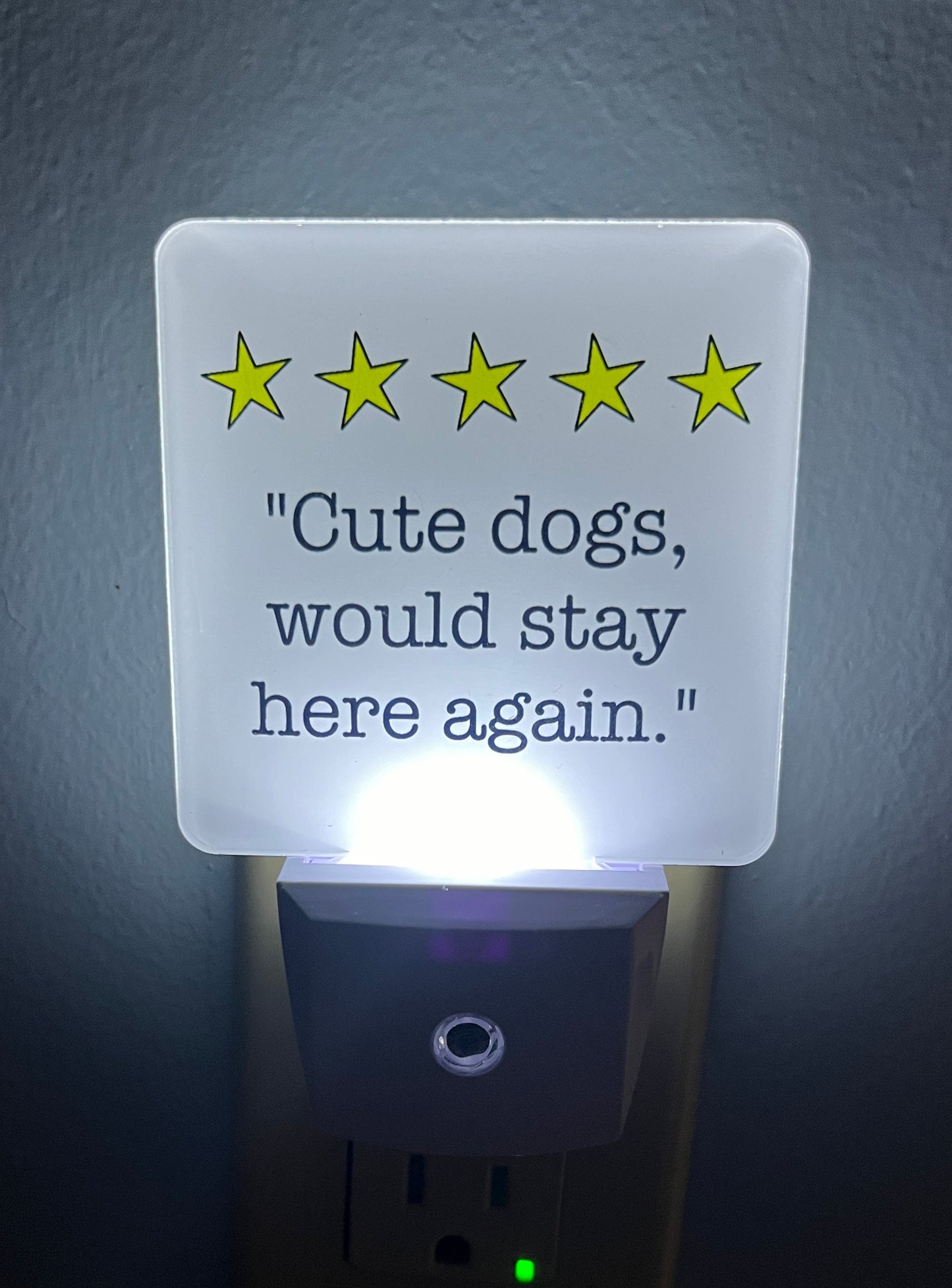 5 Star Review Dogs Night Light