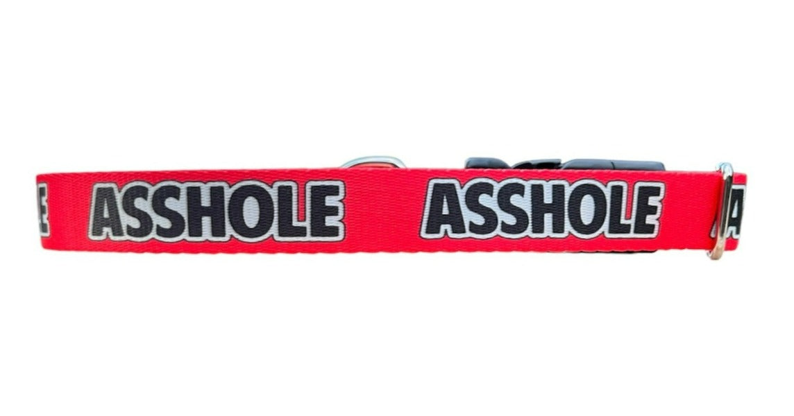 Asshole Swear Word Cuss Word Nickname Dog Collar 1" & 1.5"
