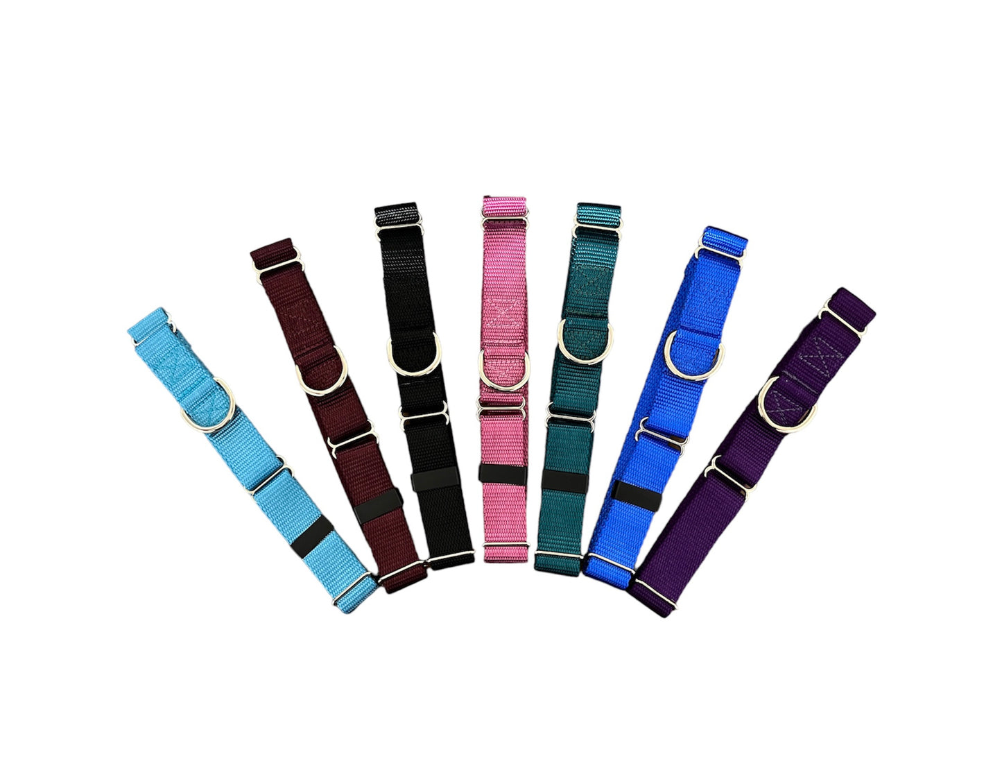 1" Nylon Martingale Collar, Dog Collar, Sighthound Dog Collar, Pet Collar