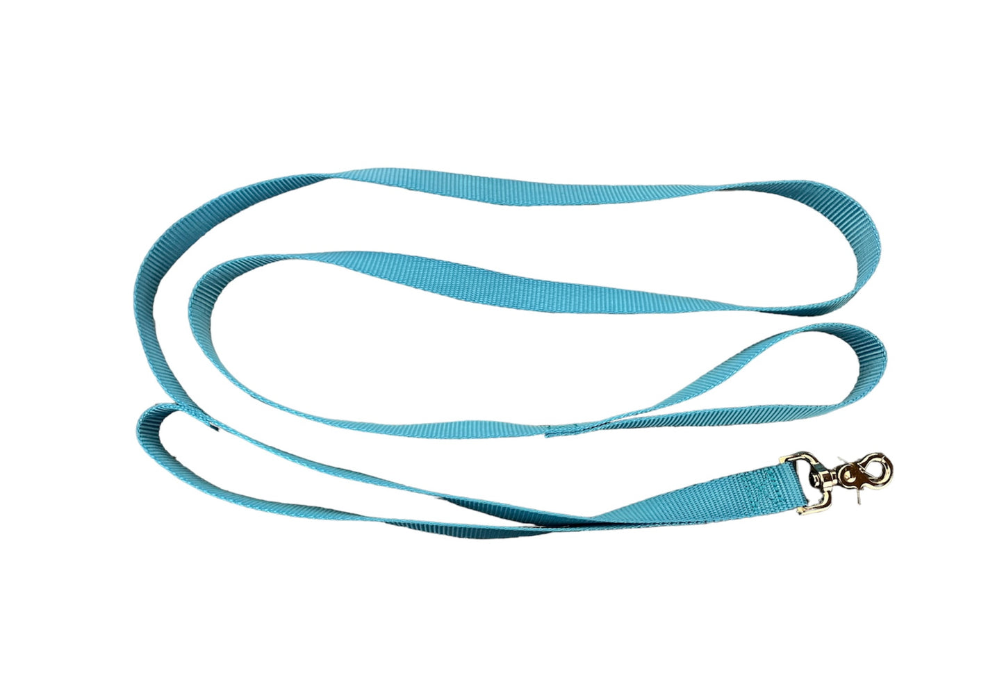 1" Nylon Leash 4' or 6' WITH TRAFFIC HANDLE, Dog Leash, Pet Leash