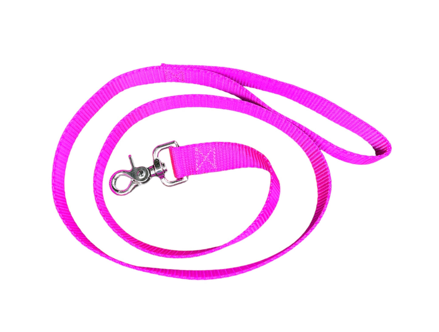 1" Nylon Leash 4' or 6', Dog Leash, Pet Leash, 4 Foot Leash, 6' Leash