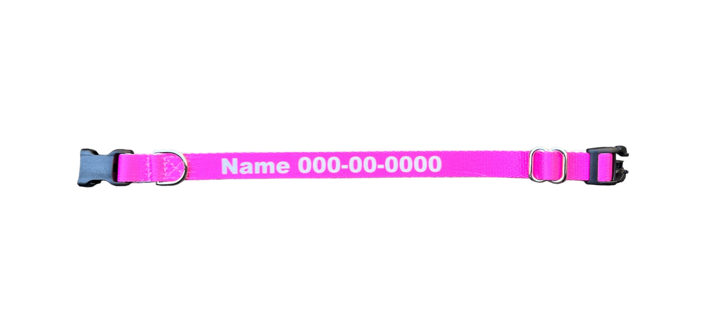 Personalized Identification Buckle Dog Collar, ID Collar, Dog Name Tag Collar