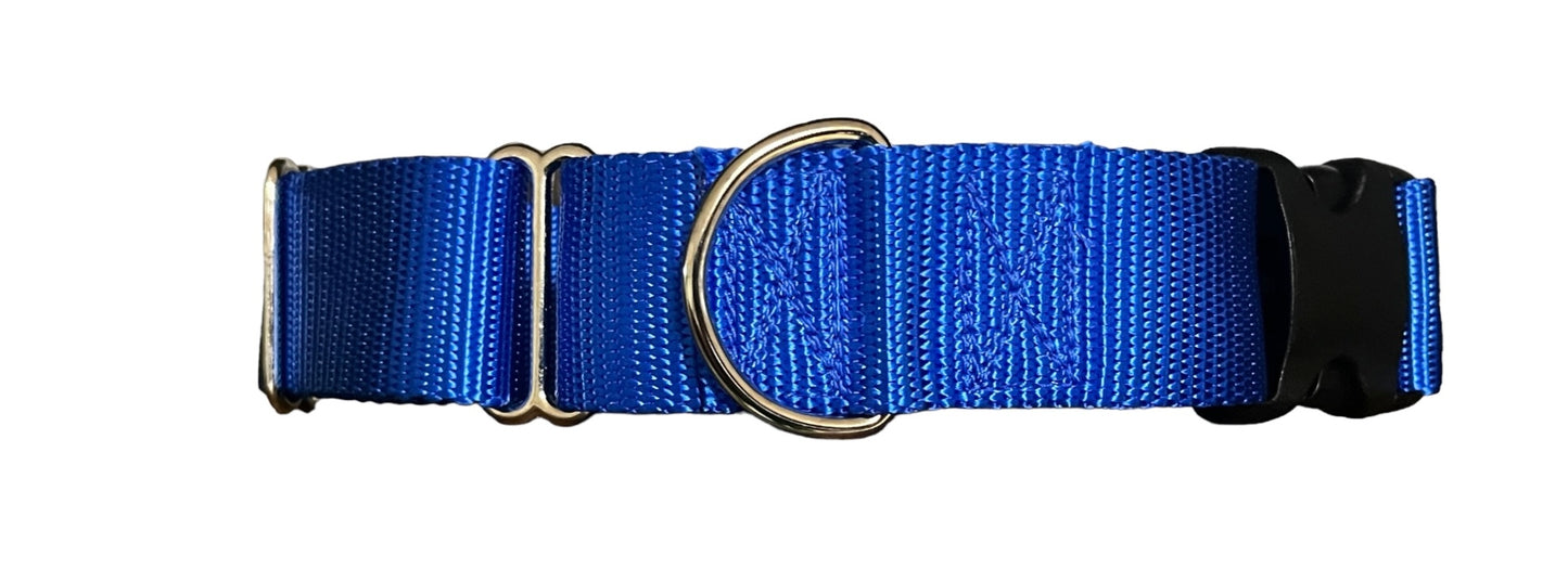 1.5" Nylon BUCKLE Martingale Collar, Dog Collar, Sighthound Dog Collar, Pet Collar