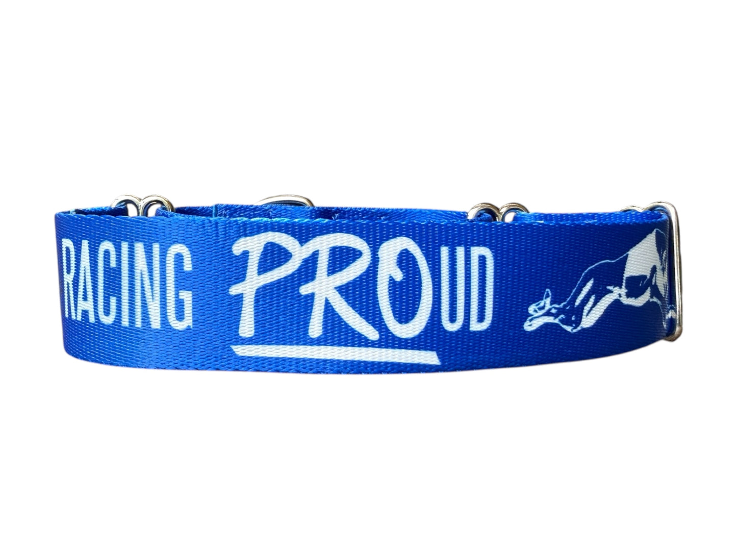 Racing PROud Greyhound Martingale or House Collar Royal