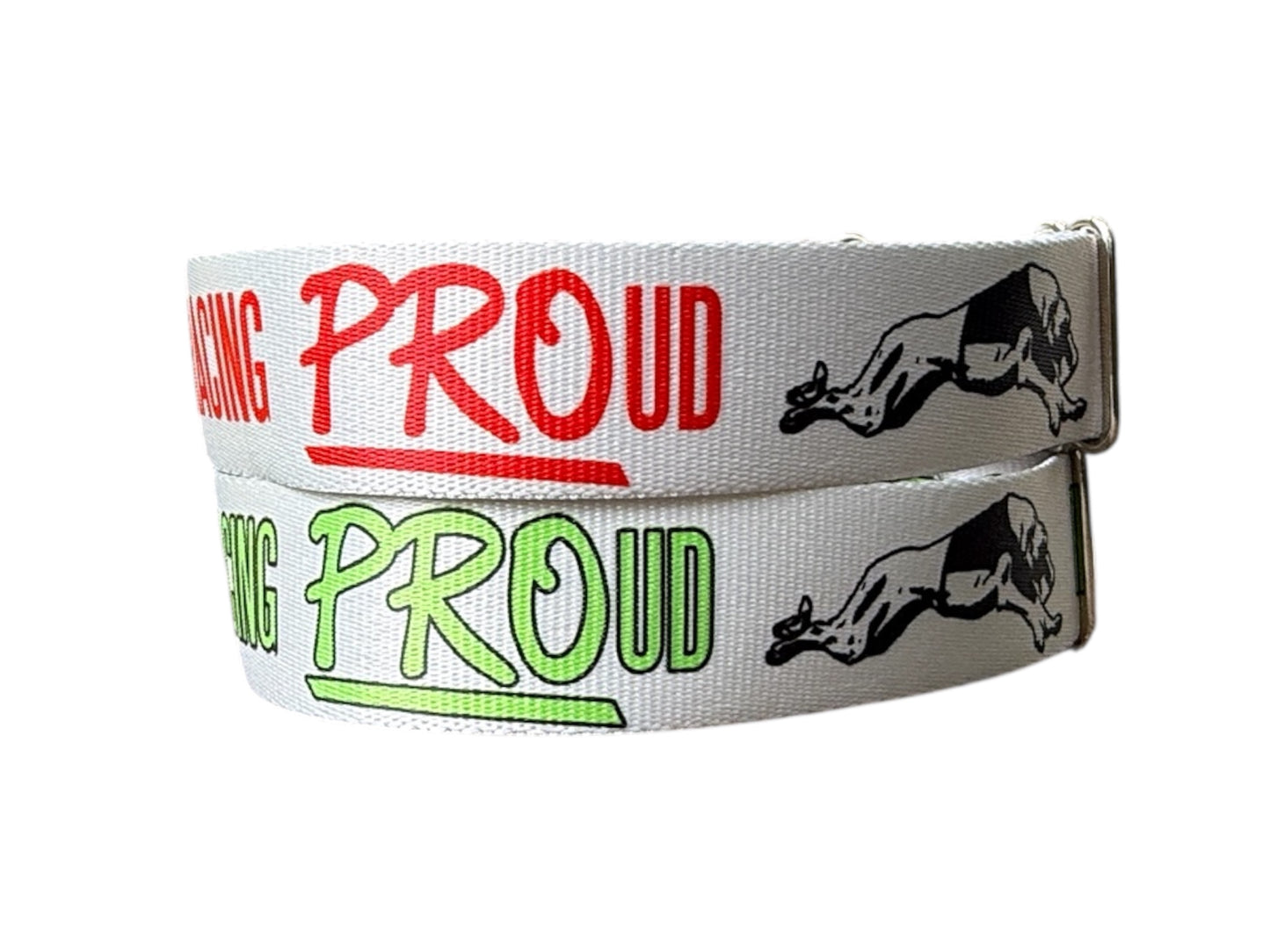 Racing PROud Greyhound Martingale or House Collar Gray