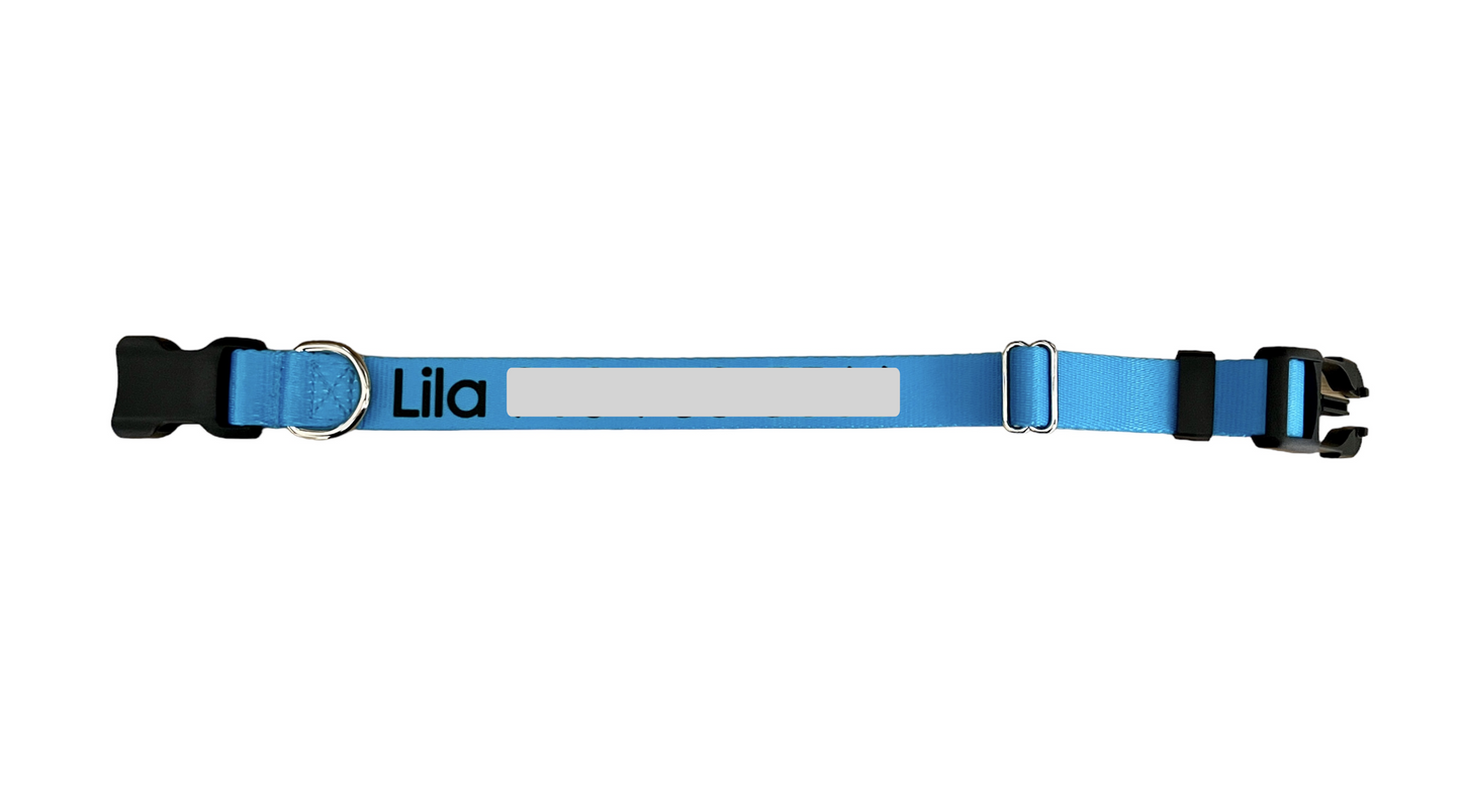 Personalized Identification Buckle Dog Collar, ID Collar, Dog Name Tag Collar