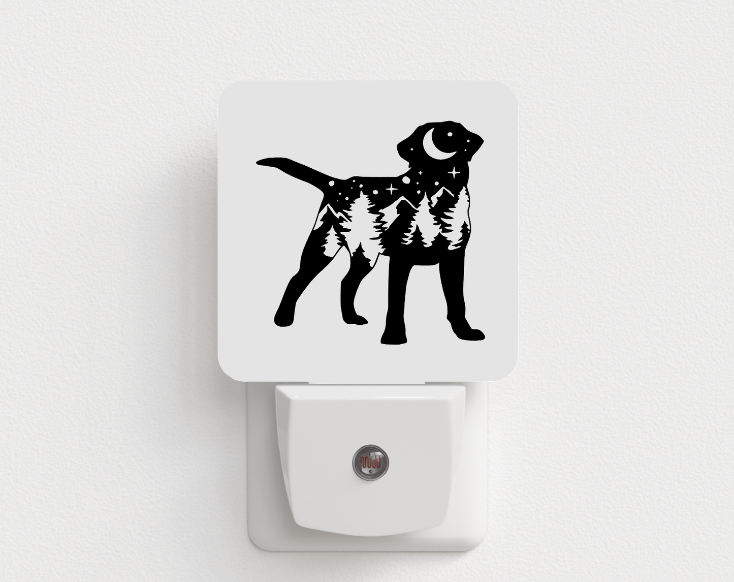 Labrador Mountains Night Light
