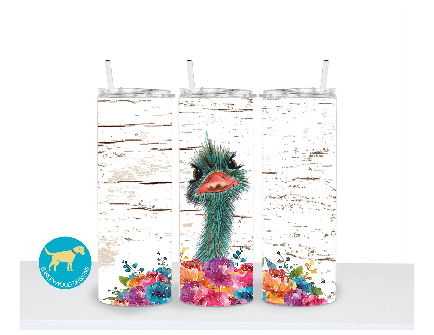 Ostrich 20 oz. Stainless Steel Skinny Tumbler