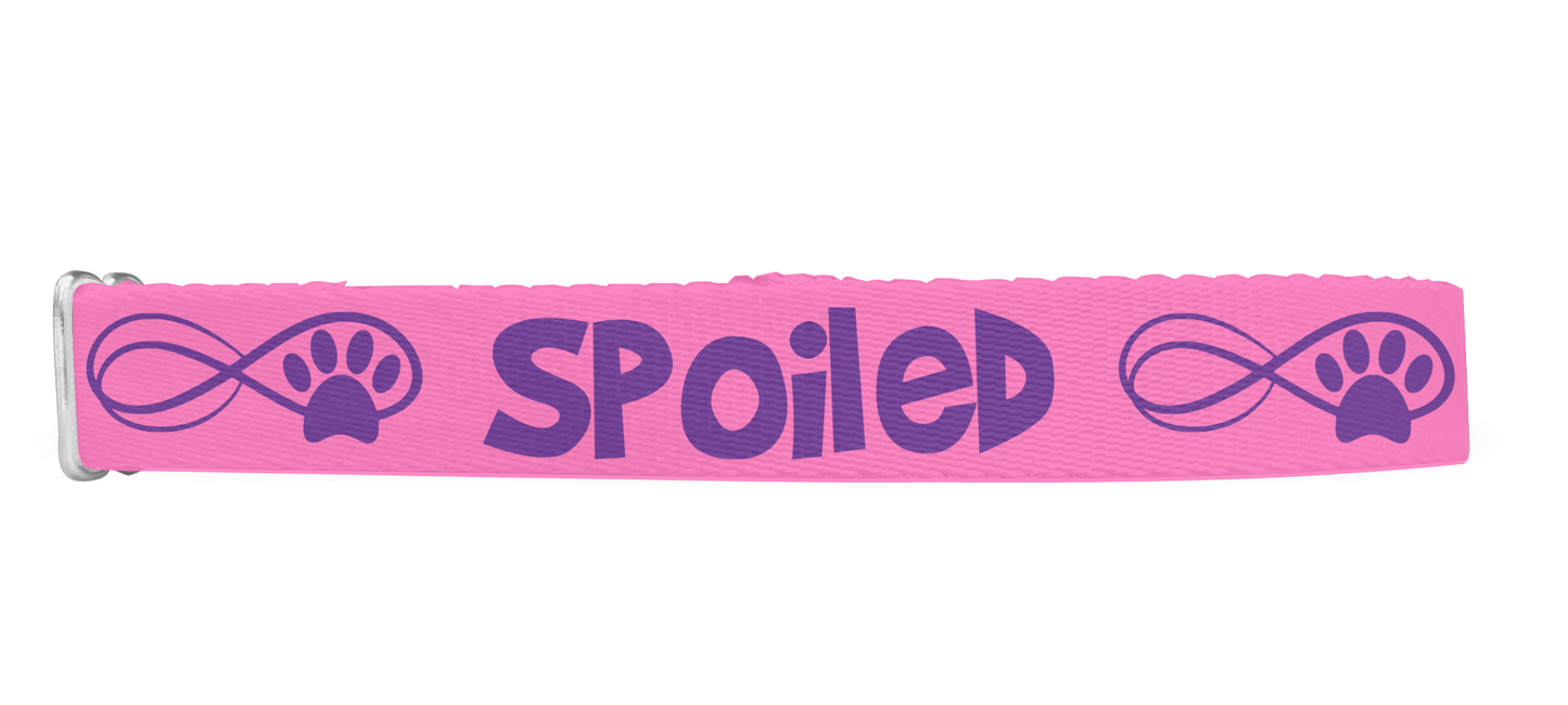 Spoiled Dog Collar, Pink Dog Collar