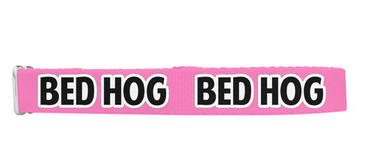 Bed Hog Nickname Dog Collar, Funny Collar, Dog Nickname Collar