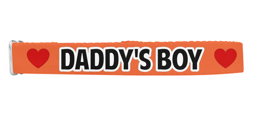 Daddy's Boy Dog Collar, Spoiled Dog Collar, Nickname Dog Collar, Man's Best Friend