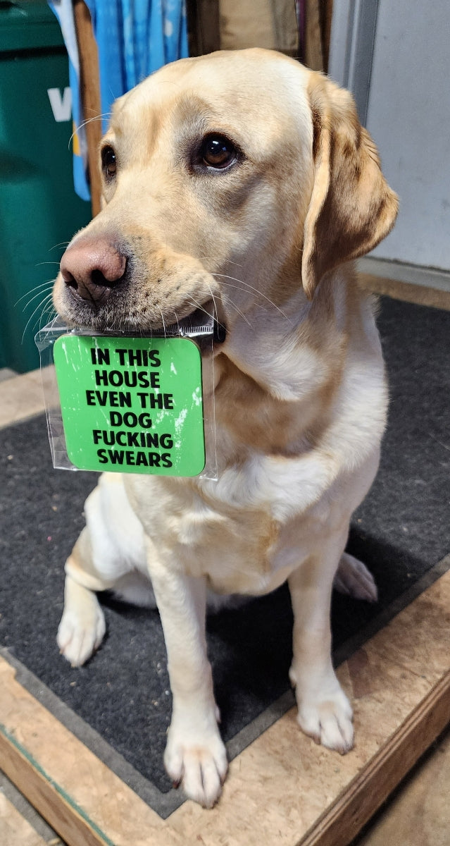 In This House Even The Dog Swears Fridge Magnet