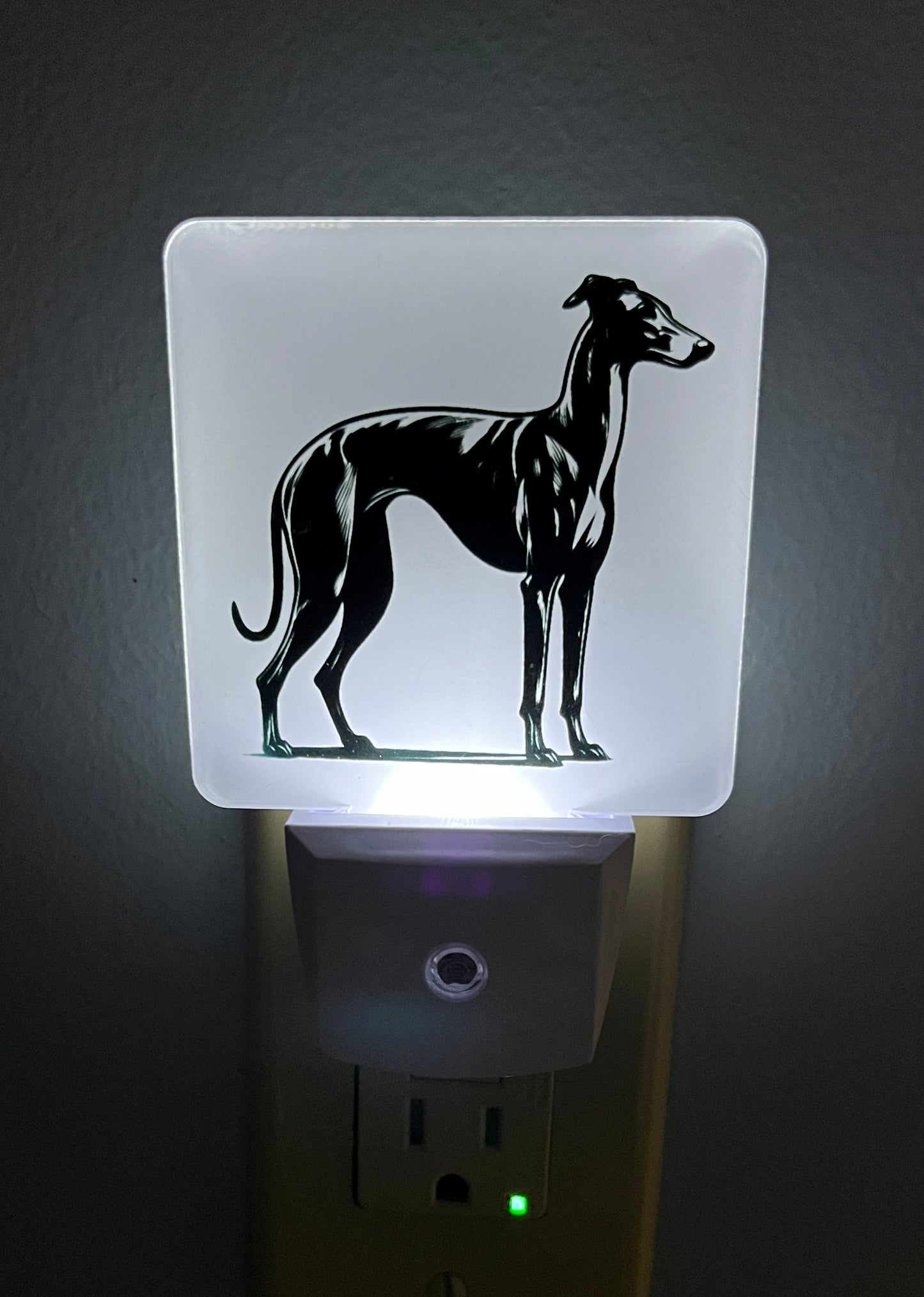 Greyhound With Shadow Night Light