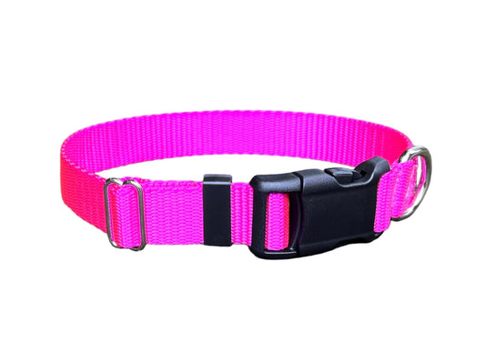 1" Nylon Martingale or Buckle Dog Collar PLUS LEASH Adoption Pack, Shelter Donation Pack