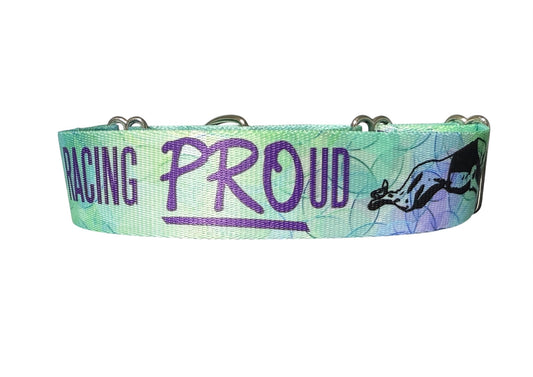 Racing PROud Greyhound Martingale or House Collar Watercolor