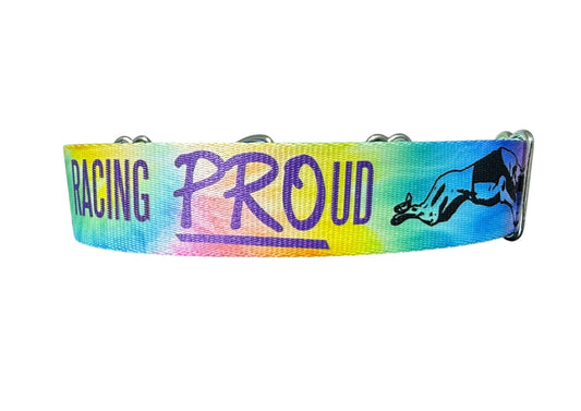 Racing PROud Greyhound Martingale or House Collar Tie Dye