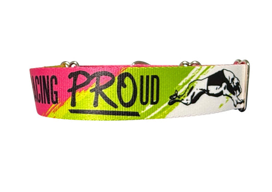 Racing PROud Greyhound Martingale or House Collar Neon Sprint