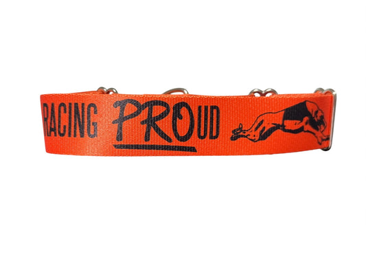 Racing PROud Greyhound Martingale or House Collar Orange