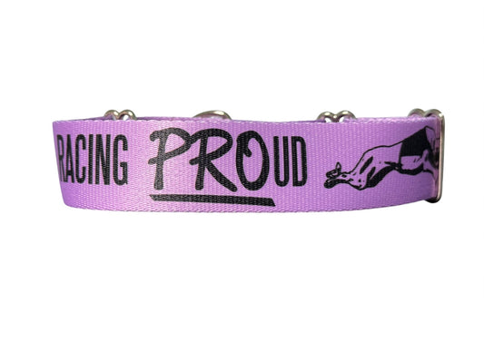Racing PROud Greyhound Martingale or House Collar Lavender