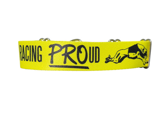 Racing PROud Greyhound Martingale or House Collar Yellow