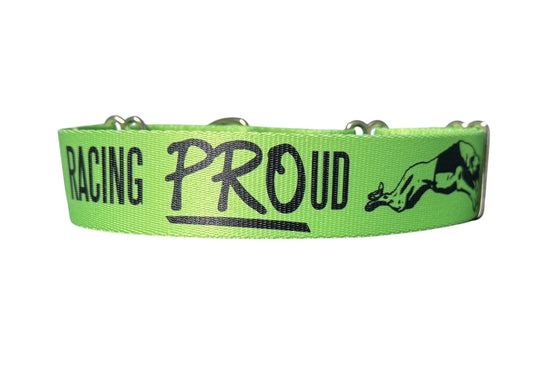 Racing PROud Greyhound Martingale or House Collar Lime