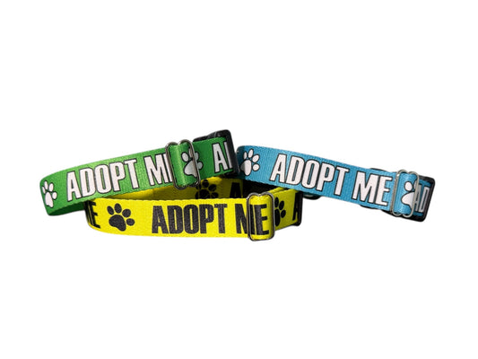 Adopt Me Dog Collar, Shelter Dog Collar, Foster Dog Collar 1" Wide, Bulk Pricing Available