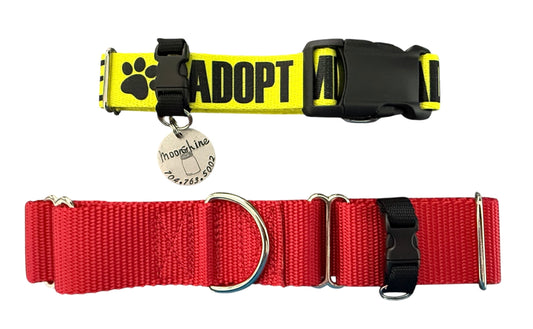 Dog Collar Tagalong, Tag Holder, Tag Clip
