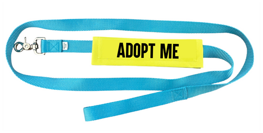 Adopt Me Leash Wrap, Leash Sleeve, Harness Wrap