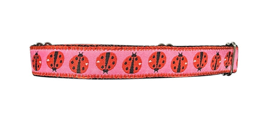 Ladybugs Ribbon Dog Collar 1"