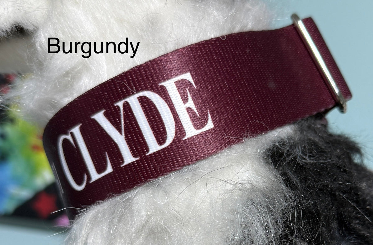 Personalized Identification Buckle or Martingale Dog Collar, ID Collar, Dog Name Tag Collar